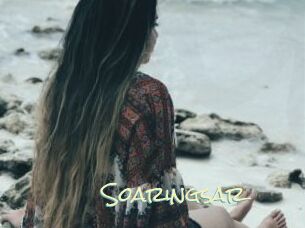Soaringsar