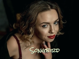 songbird Porn Monkey Cash