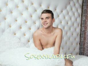 Sosexykarllfu