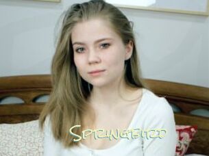 Springbird
