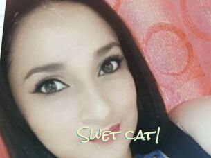 Swet_cat1