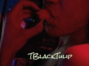TBlackTulip