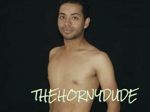 THEHORNYDUDE