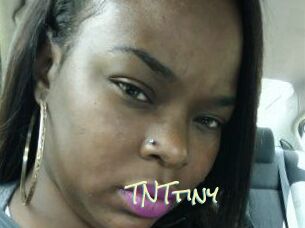 T_N_Ttiny