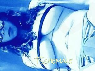TSshemale