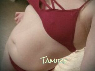 Tamire Porn Monkey Cash