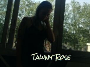 Tawny_Rose