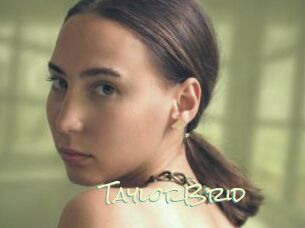 TaylorBrid
