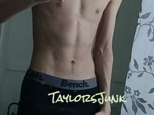 TaylorsJunk