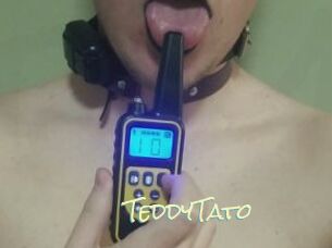 TeddyTato