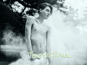 TenderTwink