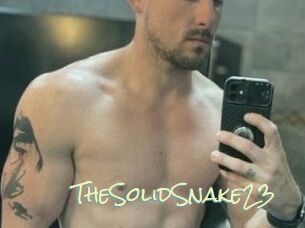 TheSolidSnake23