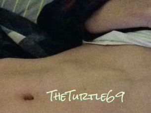 TheTurtle69