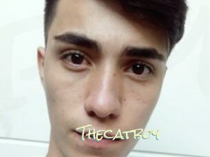 Thecatboy