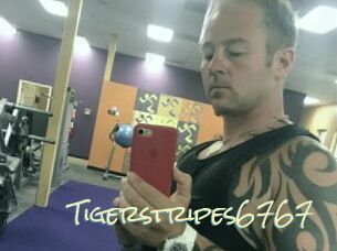 Tigerstripes6767