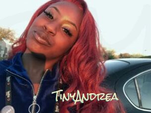 TinyAndrea