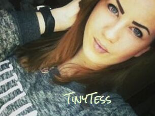 TinyTess