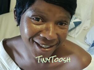 TinyToosh