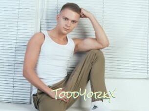 ToddYorkX