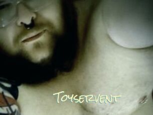 Toyservent