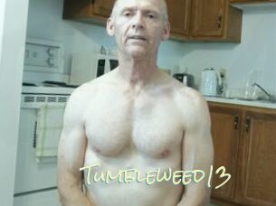 Tumbleweed13