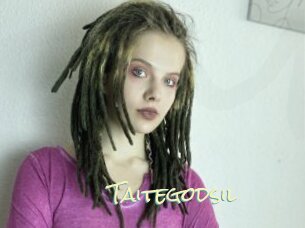Taitegodsil