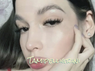 Tamipelligrini