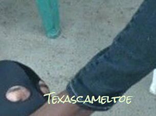 Texascameltoe