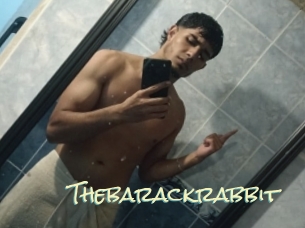 Thebarackrabbit