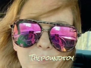 Thepoundtoy