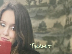 Tinamit
