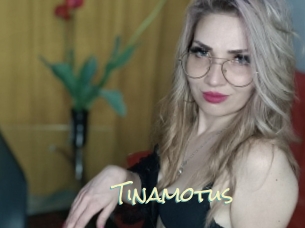 Tinamotus