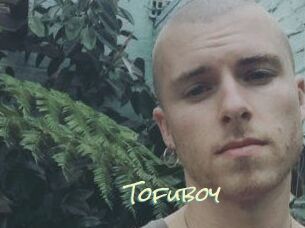 Tofu_boy