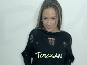 Torisan