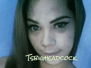 Tsbigheadcock