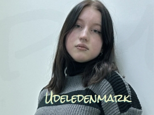 Udeledenmark