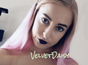 VelvetDaisy