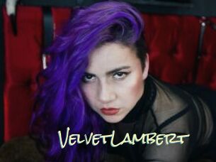 VelvetLambert Porn Monkey Cash