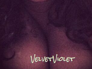VelvetViolet