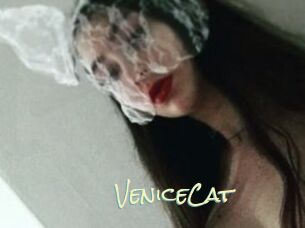 VeniceCat