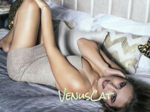 VenusCat