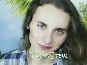 ViggoStein