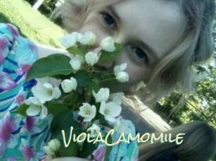 ViolaCamomile