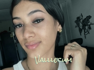 valllecum Porn Monkey Cash