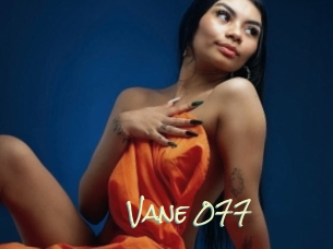 Vane_077