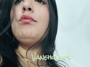 Vaneholmes