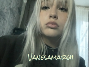 Vanesamarsh