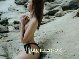 vanillafox Porn Monkey Cash