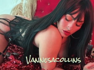 vannesacollins Porn Monkey Cash