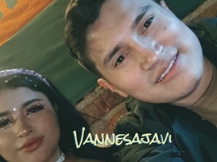 Vannesajavi